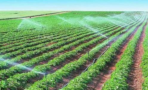 快湿干深插强骚视频农田高 效节水灌溉